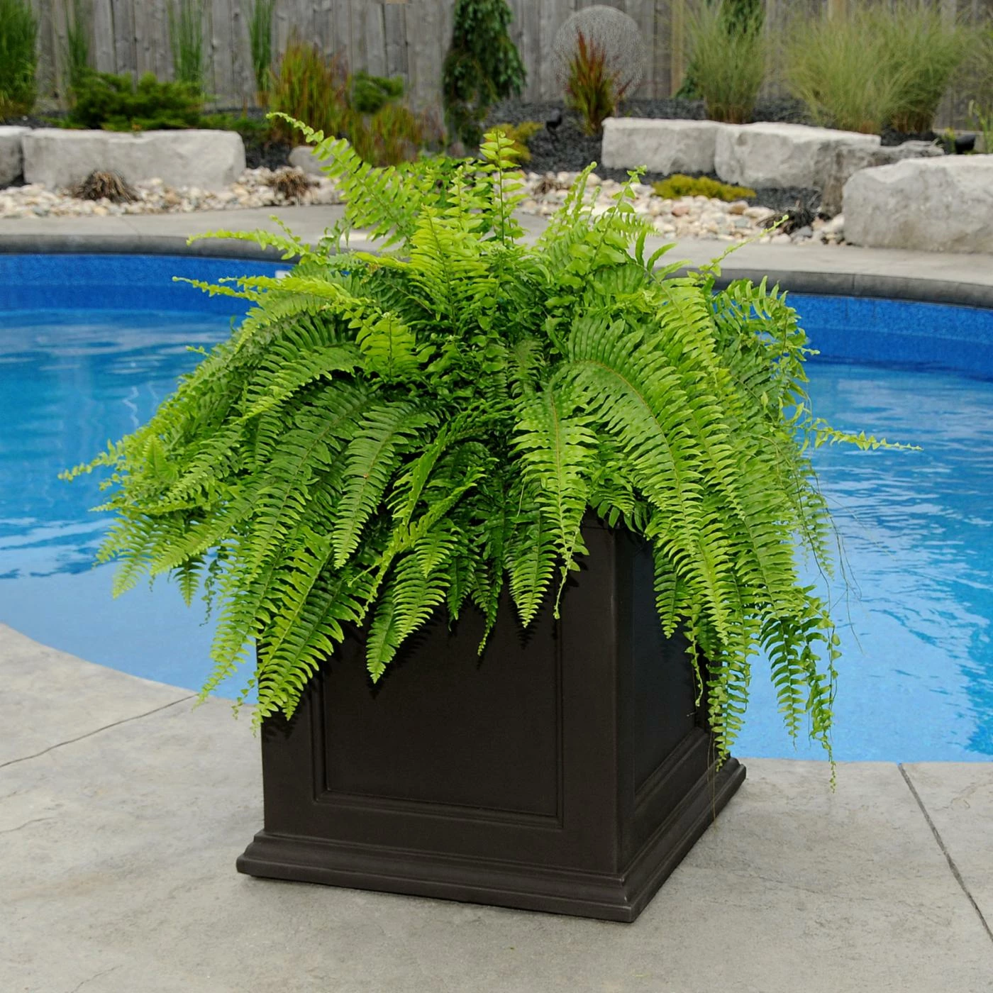 Discount ๐ Gifts For Her Mayne Square Polyethylene Fairfield Patio Planter โจ 6 Discount ๐ Gifts For Her Mayne Square Polyethylene Fairfield Patio Planter โจ - Image 6
