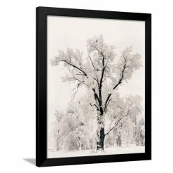 Cheapest 🥰 Art.com Top Gifts Oak Tree Framed Wall Art By Ansel Adams ⭐ -Christmas Gifts Sales Store detailALLP836