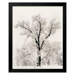 Cheapest 🥰 Art.com Top Gifts Oak Tree Framed Wall Art By Ansel Adams ⭐