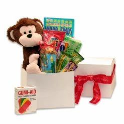Buy 👍 Gift Basket Drop Shipping Gift Baskets Hang In There Get Well Care Package 👏