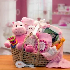 Brand new ❤️ Gift Basket Drop Shipping Gift Baskets Our Precious Baby Carrier - Pink 🛒