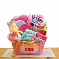 New 🔔 Gift Baskets Gift Basket Drop Shipping A Special Delivery New Baby Gift Basket- Pink 🌟