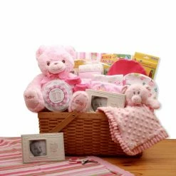 Best Pirce 🛒 Gift Baskets Gift Basket Drop Shipping My First Teddy Bear New Baby Gift Basket - Pink 👏
