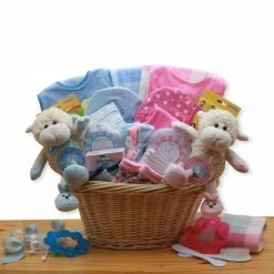 Deals ๐ Gift Baskets Gift Basket Drop Shipping Double Delight Twins New Babies Gift Basket - Pink ๐