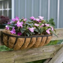 Flash Sale 🌟 Top Gifts CobraCo English Horse Trough Planter ⌛