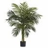 Best Sale 🔥 Gifts For Her Nearly Natural Golden Cane Silk Palm Tree 👍